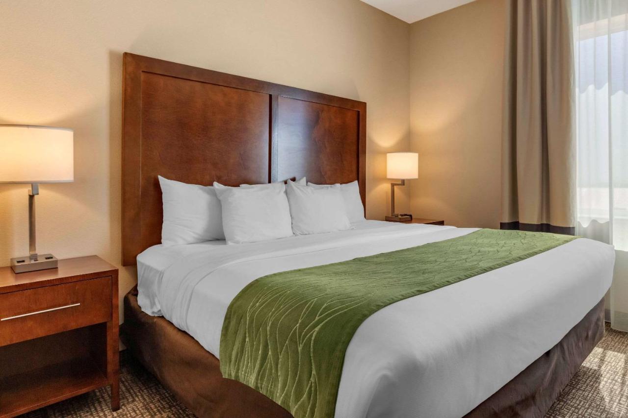 Comfort Inn & Suites Edgewood Exteriér fotografie