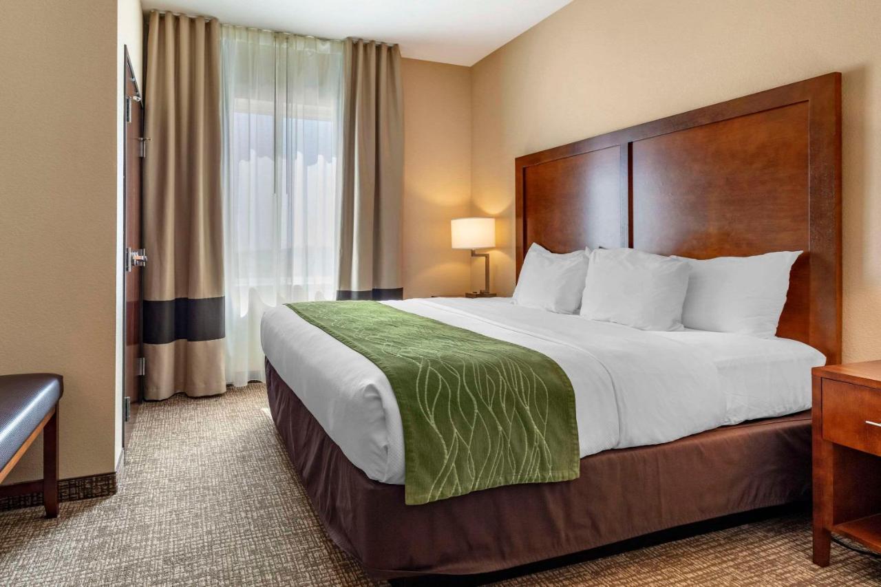 Comfort Inn & Suites Edgewood Exteriér fotografie