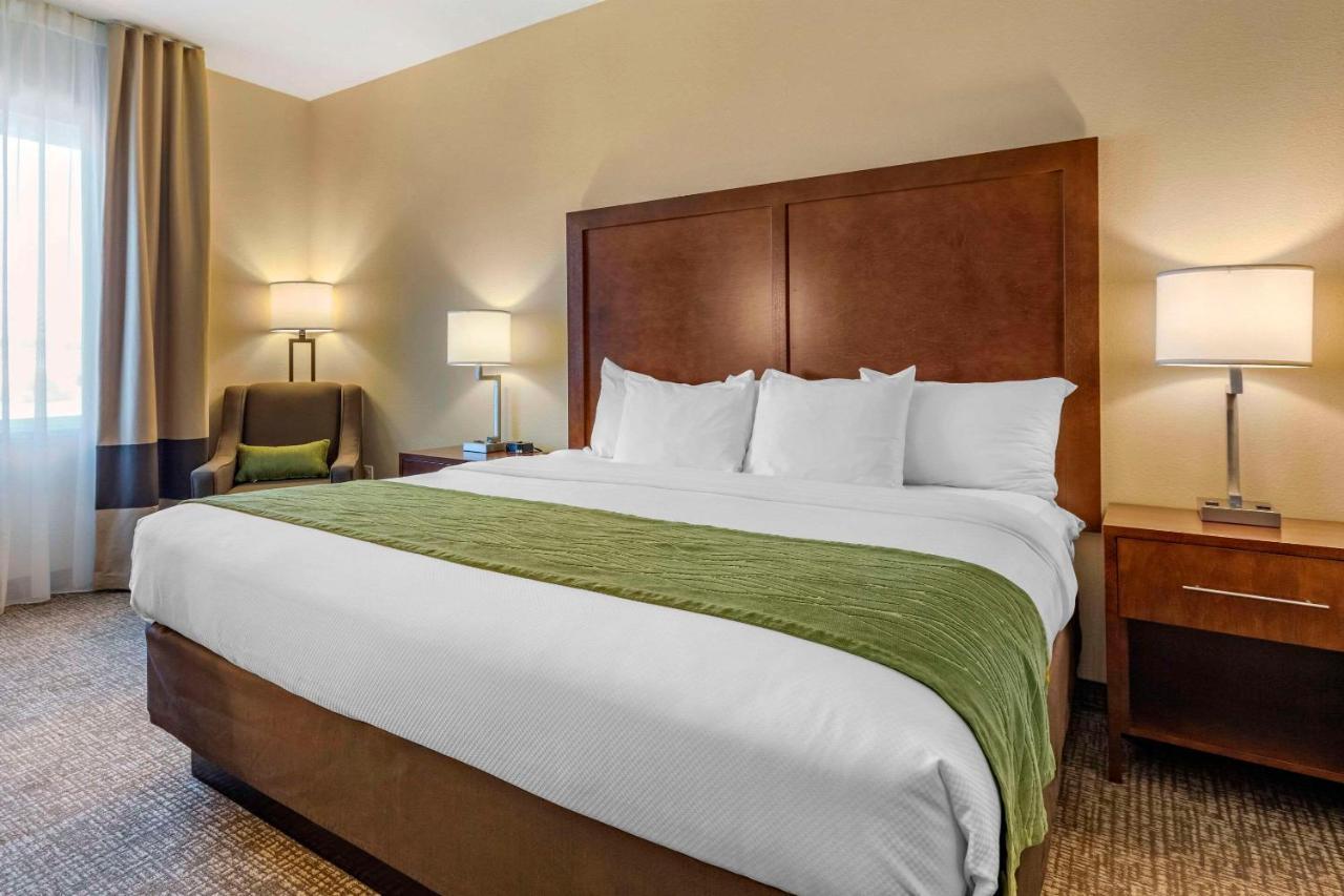 Comfort Inn & Suites Edgewood Exteriér fotografie