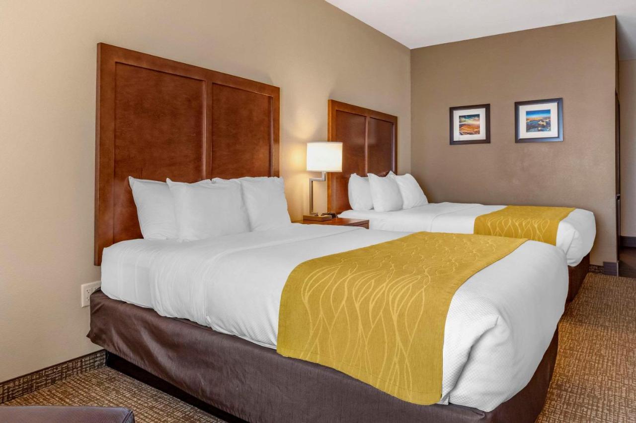 Comfort Inn & Suites Edgewood Exteriér fotografie