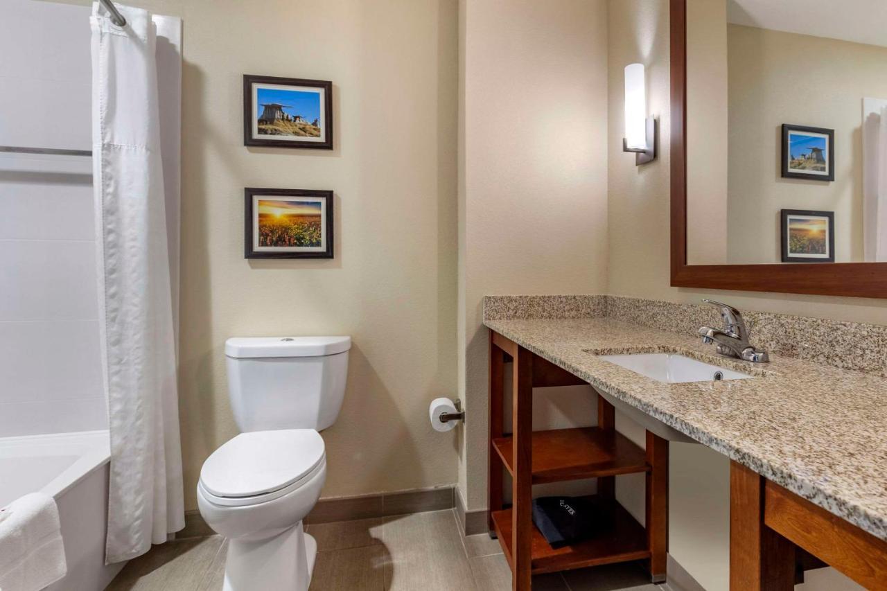 Comfort Inn & Suites Edgewood Exteriér fotografie